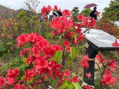 -瑞安圣井山景区