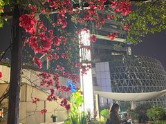 -听香·678茶铺(猛追湾店)