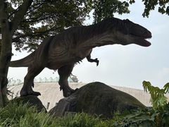 -自贡恐龙博物馆