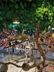 -酷嗒动物文化乐园(cutezoo西溪乐天城店)