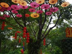 -广州长隆飞鸟乐园