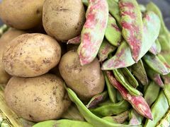 -东北公社(北京路店)