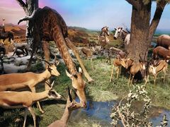 -国家自然博物馆