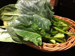 菠菜-官也街澳门火锅(新源里店)