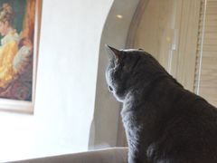 -Me Coffee下午茶艺术空间