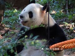 -广州动物园
