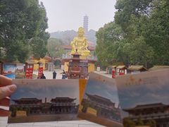 -岳阳市博物馆