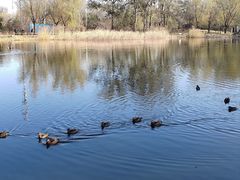 -北京西山国家森林公园
