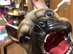 -百新书局(尚悦湾店)