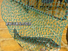 -大理老字号·舟渔的鱼野生菌海景餐厅(双廊店)