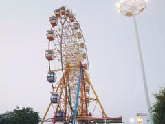 -巨鹏飞梦幻海岸