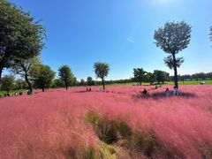 -汉长安城未央宫国家考古遗址公园