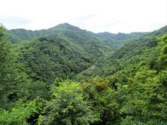 -李冰陵园