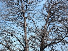 -汉长安城未央宫国家考古遗址公园