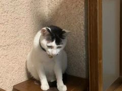 -CLUE演绎实景剧本杀(江南西店)