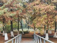 -长广溪湿地公园