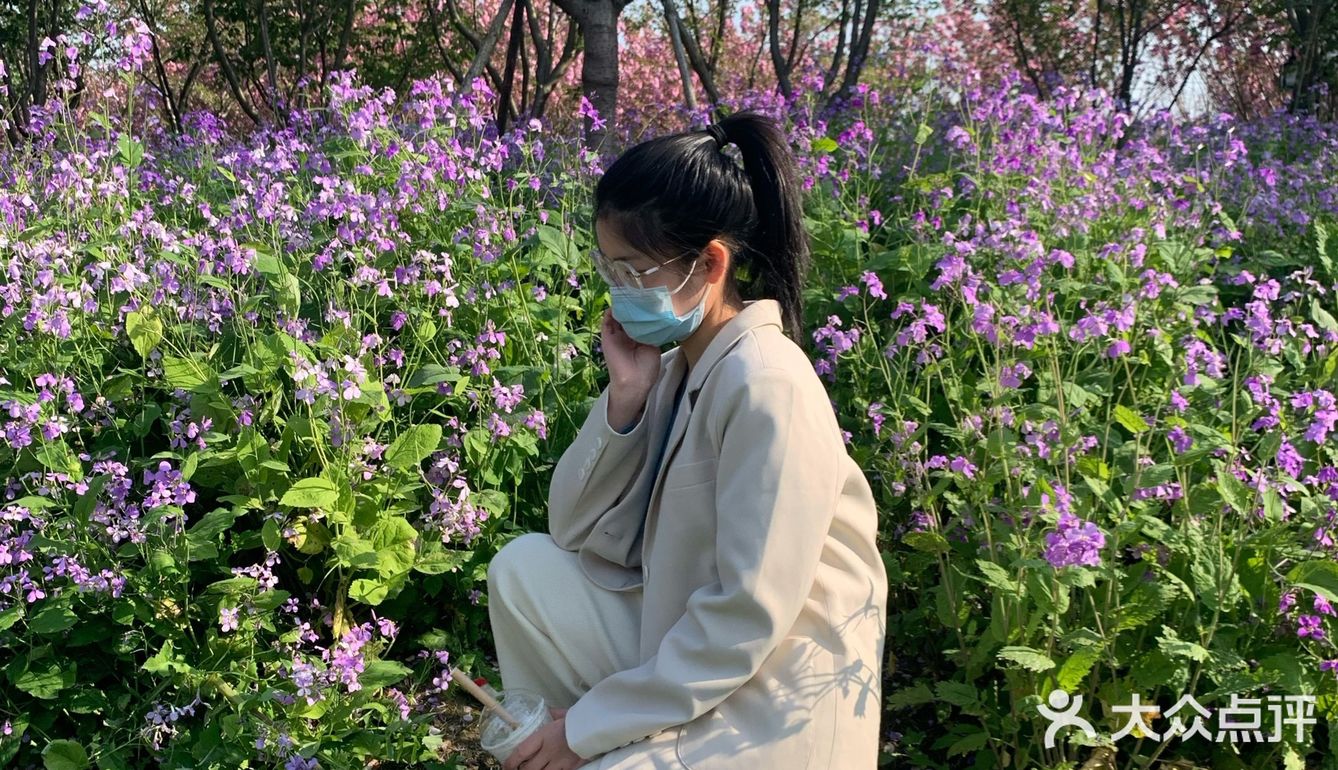 平湖探店｜我在中埭等你，樱花里等你