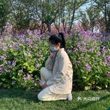 平湖探店｜我在中埭等你，樱花里等你