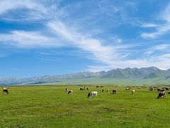-新疆那拉提国家旅游度假区