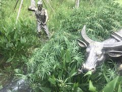 -那考河湿地公园