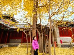 -承恩寺