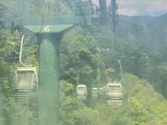 -大鄣山卧龙谷景区