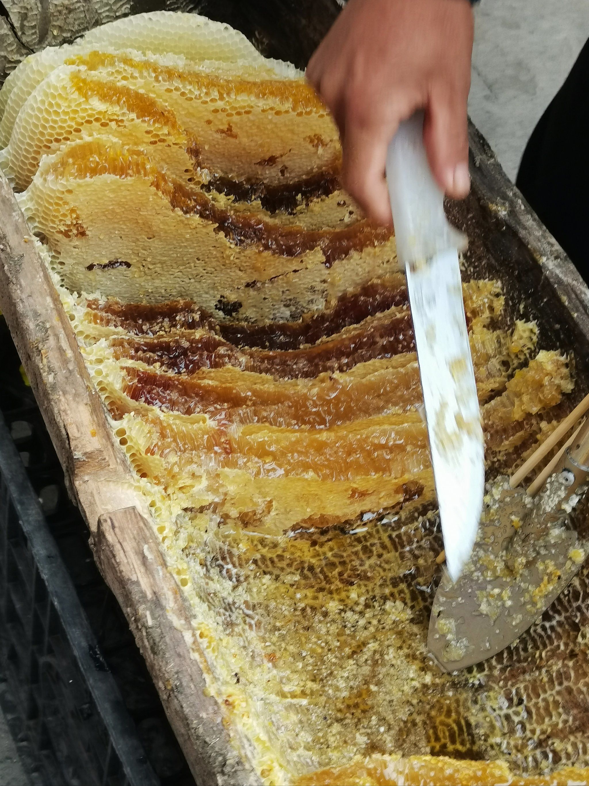 迭部县纯天然蜂蜜来两罐