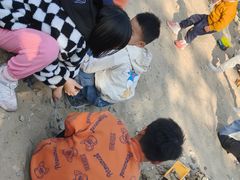 -飞凤山奥体公园