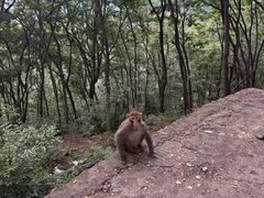 -黔灵山公园-南门售票处