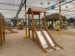 -南宫五洲植物乐园