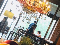 -D STAR COFFEE帝星咖啡