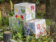 -上海共青森林公园