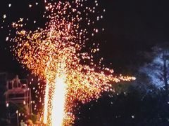 -东南花都花博园