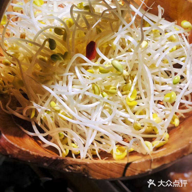 大渝毛肚,好吃不贵!