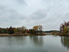 -贡湖湾湿地公园