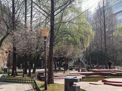 -西安曲江寒窑遗址公园