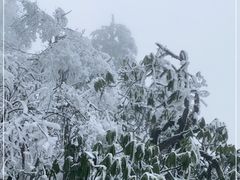 -峨眉山风景名胜区