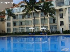 金棕榈的泳池-三亚亚龙湾金棕榈度假酒店