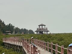 -北海金海湾红树林生态旅游区