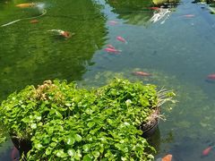 -长阳创谷