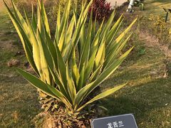 -厦门悦华酒店
