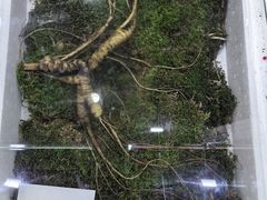 -长春农业博览园
