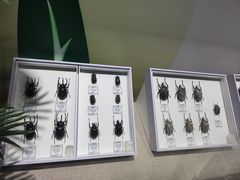 -烟台市博物馆