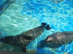 -太平洋海底世界