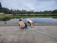 -群力丁香公园
