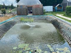 -美家乐农庄·露营·团建(大治路店)