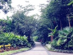 -西双版纳融创皇冠假日度假酒店