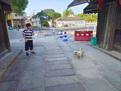 -紫薇冷饮(海宁盐官宣德路店)