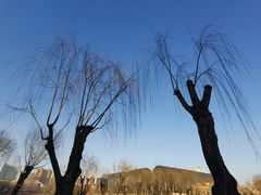 -中国农业博物馆