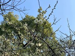 -萨莉亚意式餐厅(杭州西溪龙湖天街店)